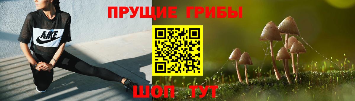 Галлюциногенные грибы Psilocybine cubensis  Галлюциногенные грибы Cubensis  купить   Новокубанск  Вход с VPN 